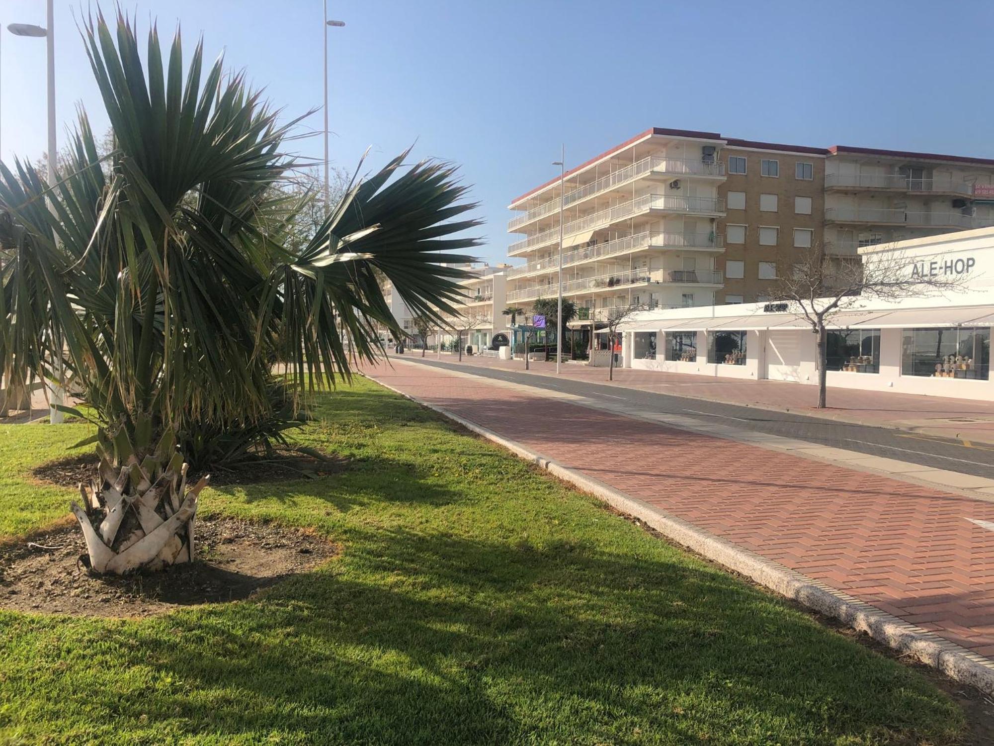 Apartmán Playa De Gandia 1Ere Ligne El Galeon Exteriér fotografie